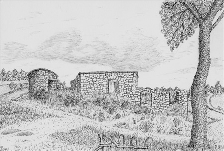 25 Tines de Camps 2004