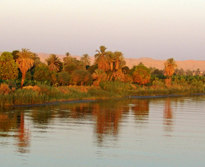 Llums sobre el Nil