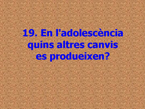 Diapositiva07