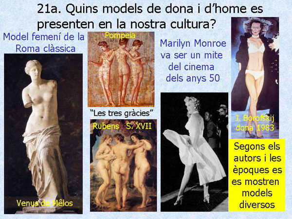 Diapositiva14