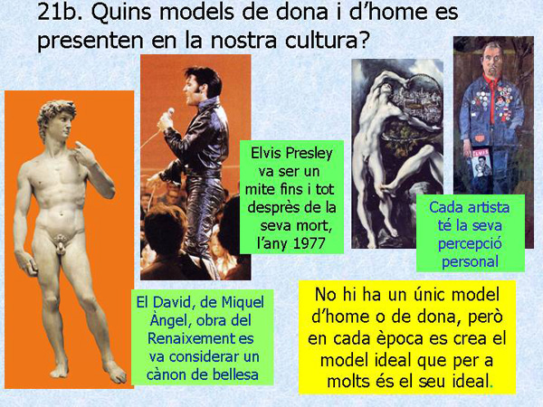 Diapositiva16