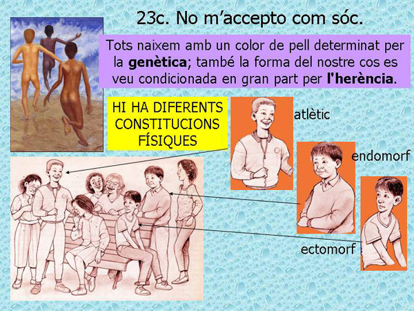 Diapositiva28