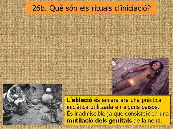 Diapositiva44