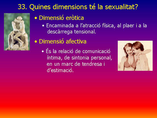 Diapositiva06