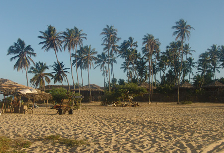 Brasil 09 Jericocoara