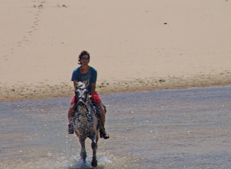 Brasil 15 Jericocoara al galop