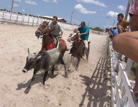 Brasil 46 Barreirinhas vaquejada