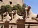 Alt Egipte 58 Karnak vedells del déu Amon