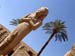 Alt Egipte 59 Karnak colós de Penedjeu