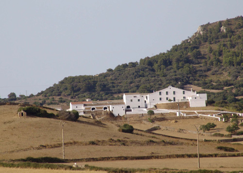 MENORCA 95 Vida al camp